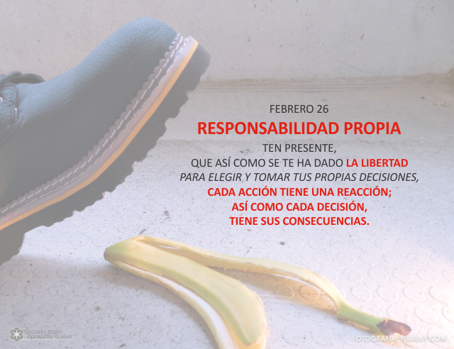 Responsabilidad propia